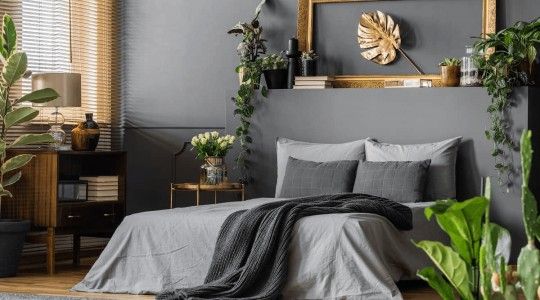 10+ mẫu phòng ngủ màu xám thời thượng, ấn tượng nhất 2025