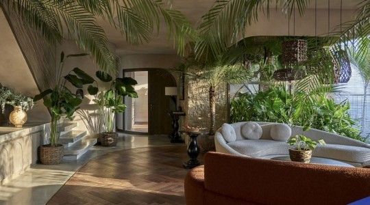 Thiết kế khu “rừng nhiệt đới trong nhà” cho không gian sống xanh mát
