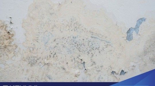 11+ sự cố về sơn nước thường gặp nhất và cách xử lý