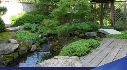 50+ Mẫu sân vườn Nhật Bản đẹp, đơn giản mà sang trọng