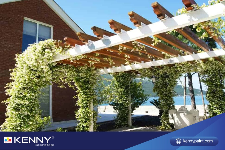 Cây leo ban công thường dễ trồng, phát triển nhanh chóng