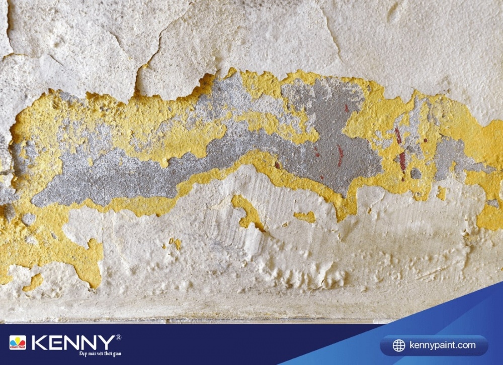 Sơn KENNY - Điểm tô ngôi nhà mơ ước cach-xu-ly-tuong-bi-phong-rop-1