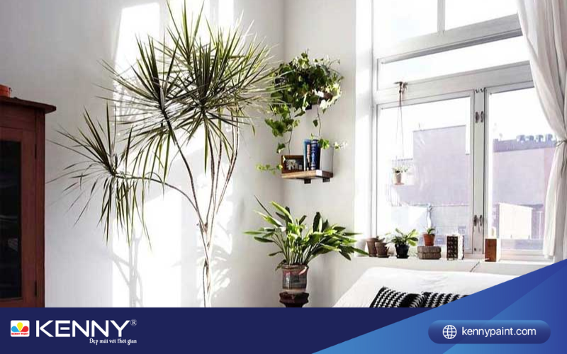 Sơn KENNY - Điểm tô ngôi nhà mơ ước cay-trong-trong-phong-ngu-1