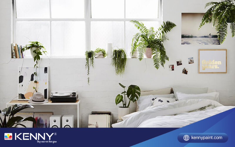 Sơn KENNY - Điểm tô ngôi nhà mơ ước cay-trong-trong-phong-ngu-2