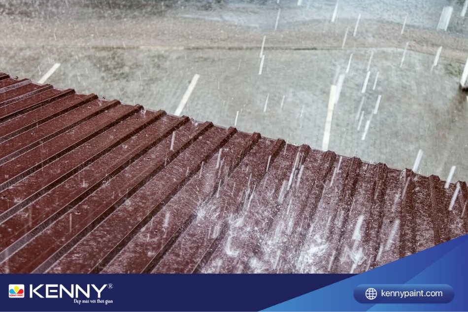 Mưa bão tác động khiến mái tôn bị dột