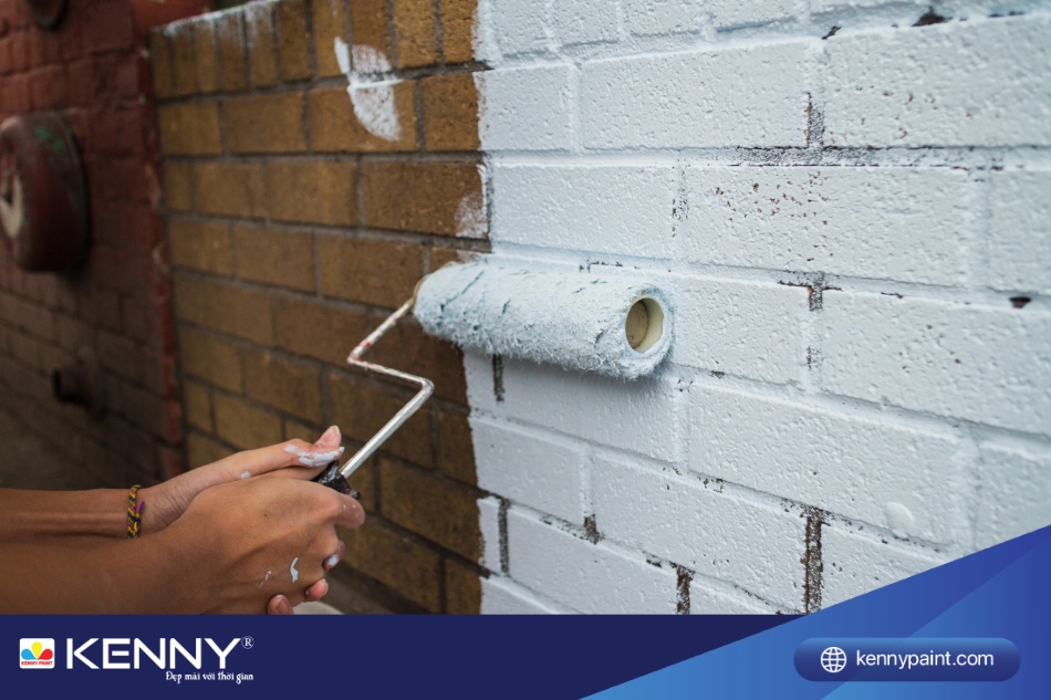 Một trong những giải pháp chống thấm phổ biến hiện nay là sơn chống thấm