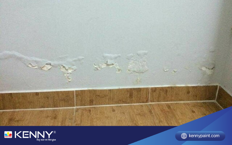 chong-tham-chan-tuong-1