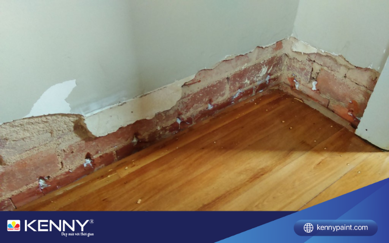 chong-tham-chan-tuong