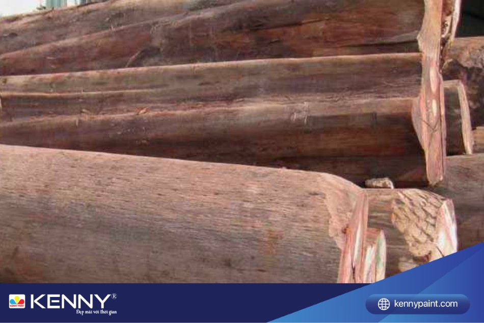 Thao lao cũng có nhiều loại khác nhau