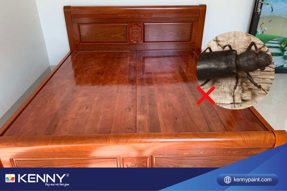 Nội thất từ gỗ thao lao được sơn PU nên sẽ hạn chế mối mọt