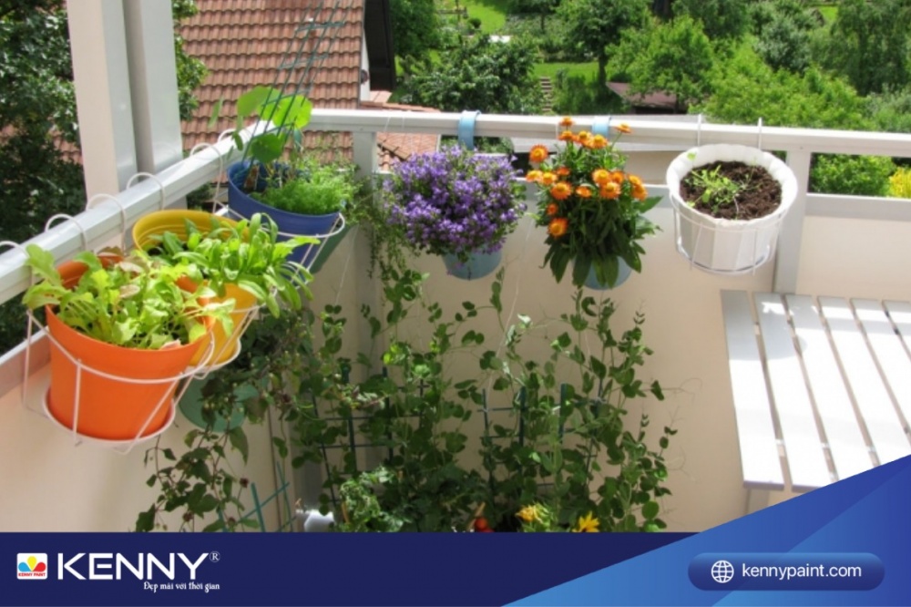Tận dụng diện tích ban công nhỏ một cách hiệu quả và tạo ra không gian sống xanh tươi, gần gũi với thiên nhiên với hoa treo ban công