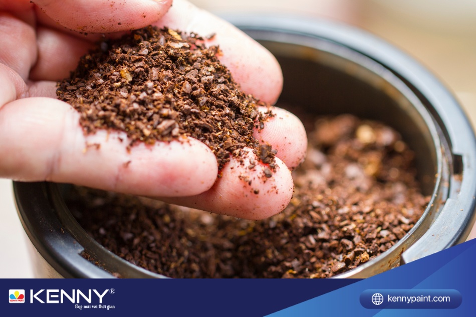 Bã cà phê có tác dụng khử mùi sơn