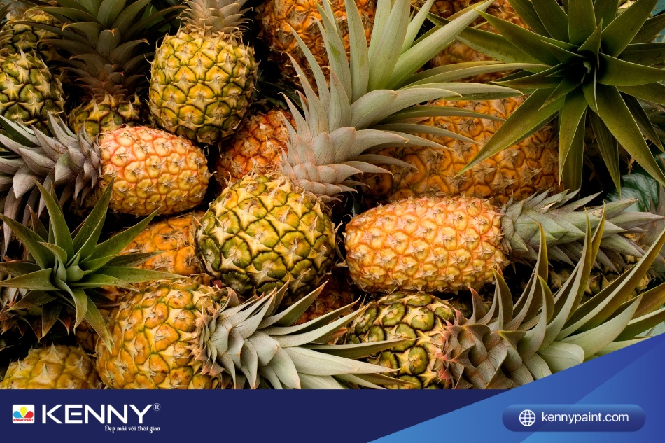 Dứa có khả năng khử mùi sơn sắt tốt