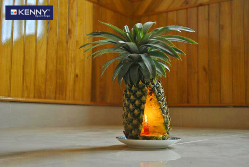 Sơn KENNY - Điểm tô ngôi nhà mơ ước khu-mui-son-tuong-nha