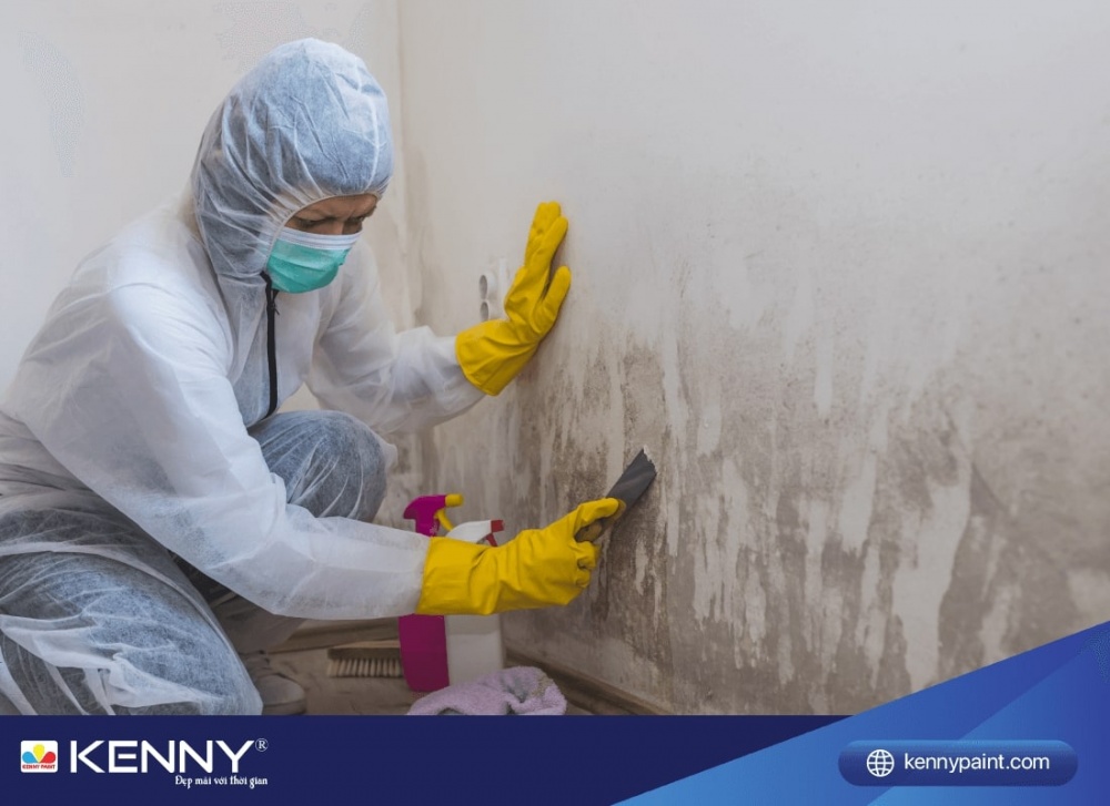 Sơn KENNY - Điểm tô ngôi nhà mơ ước luu-y-khi-son-lai-nha