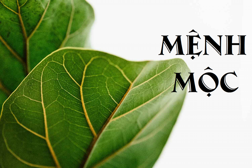 menh-moc-son-nha-mau-gi-10