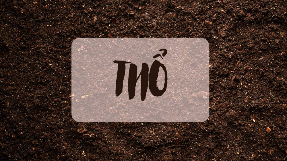 Sơn KENNY - Điểm tô ngôi nhà mơ ước menh-tho-son-nha-mau-gi-7