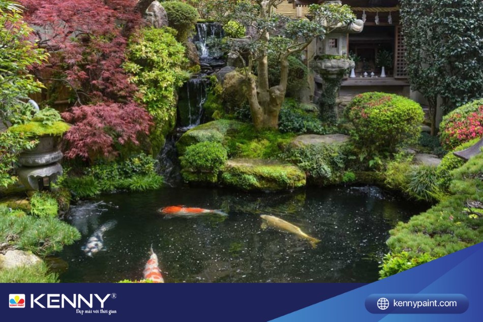 Hồ cá Koi trong khuôn viên vườn Nhật