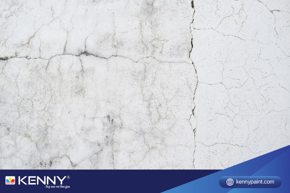 Bề mặt sơn tường bị nứt, đóng rêu mốc khiến cho sân thượng dễ thấm nước