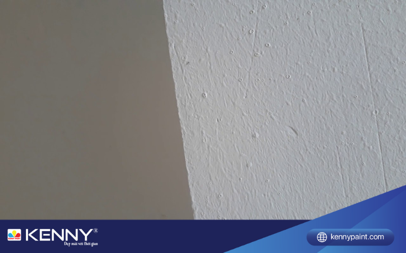 Sơn KENNY - Điểm tô ngôi nhà mơ ước son-bi-lo-kim-2