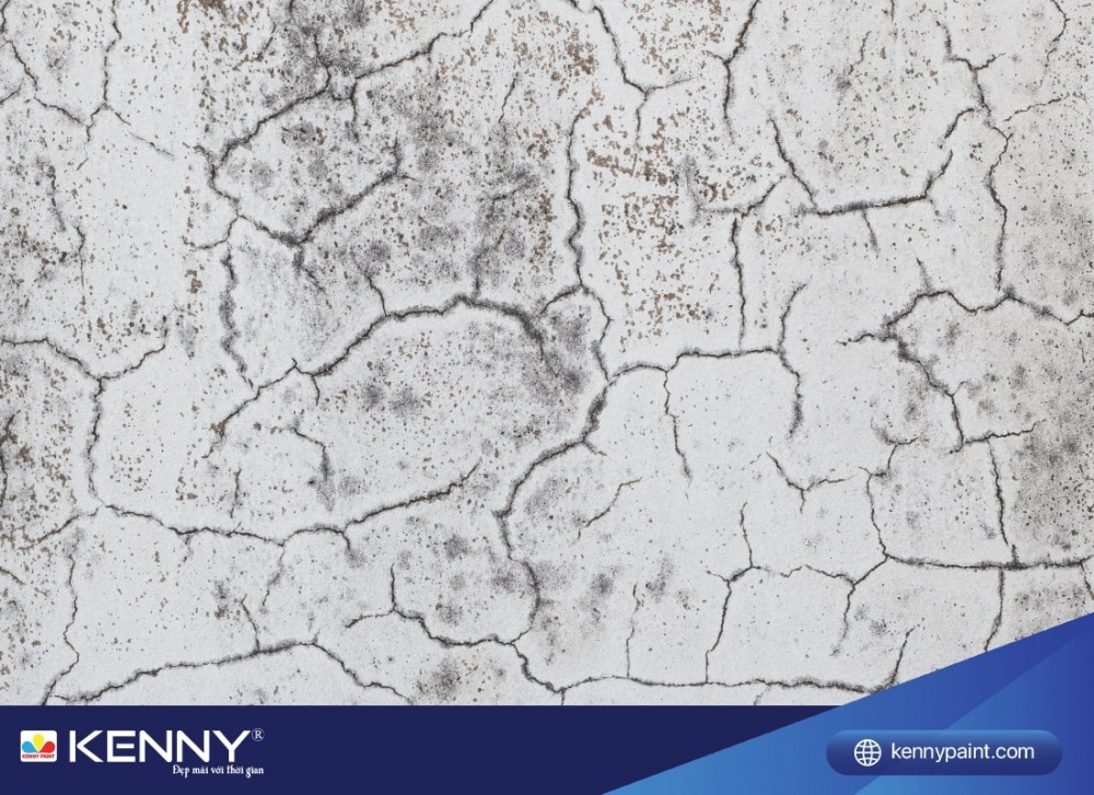 Sơn KENNY - Điểm tô ngôi nhà mơ ước son-chong-tham-nha-lien-ke-1