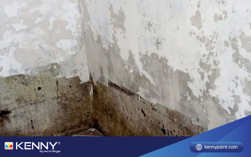 Sơn KENNY - Điểm tô ngôi nhà mơ ước son-chong-tham-nha-ve-sinh