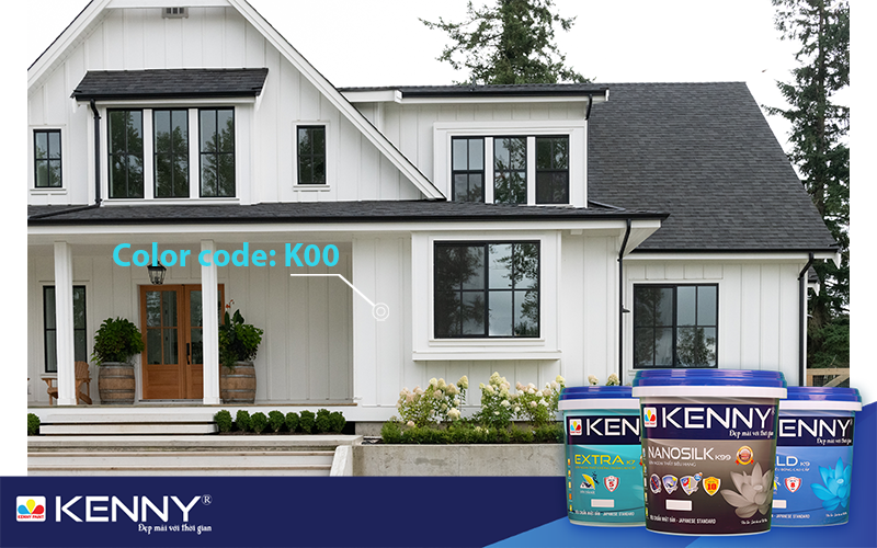 son-nha-mau-trang-xam