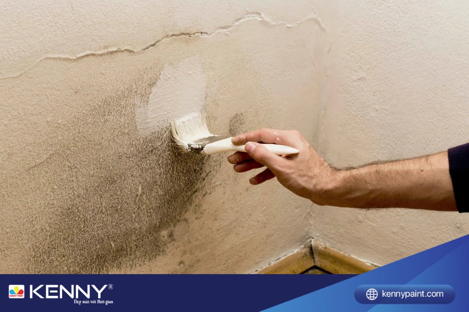 Sơn bị rêu mốc có biểu hiện là các đốm xanh, đen, xám hoặc nâu