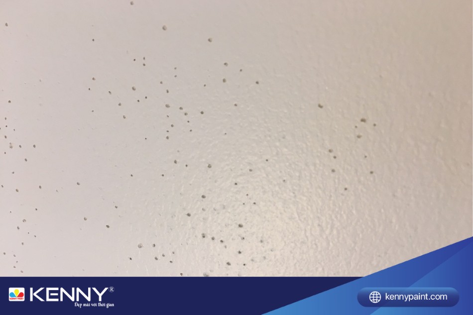 Sơn bị rỗ do nhiều nguyên nhân gây ra