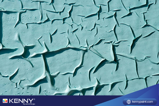 su-co-thi-cong-son-nha-1