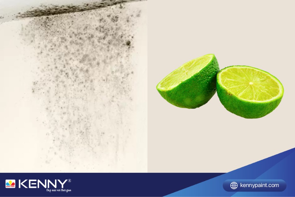 Chanh tươi chứa axit citric, có khả năng làm sạch vết mốc, diệt khuẩn và khử mùi hôi 