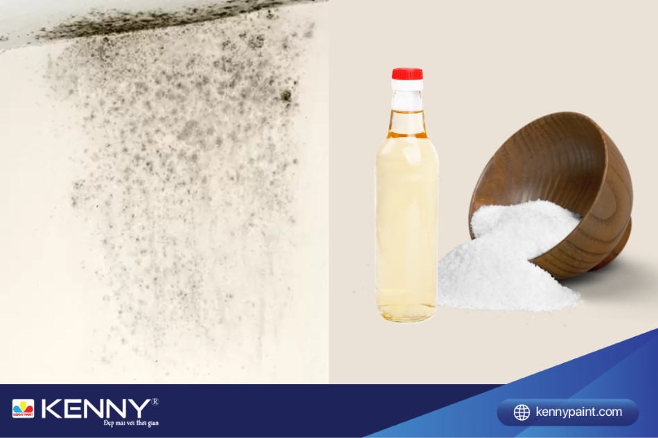 Giấm ăn và muối giúp làm sạch nấm mốc mạnh mẽ