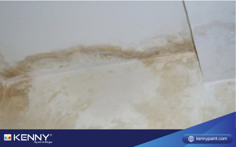 Sơn KENNY - Điểm tô ngôi nhà mơ ước thi-cong-bot-tret-tuong-4