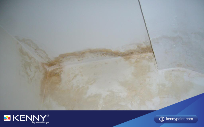 tran-thach-cao-bi-tham-nuoc-2