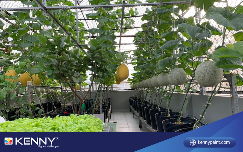 Sơn KENNY - Điểm tô ngôi nhà mơ ước trang-tri-san-thuong-4