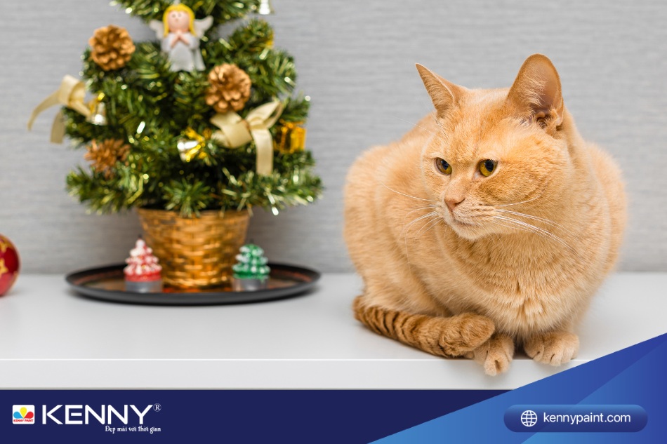 Người tuổi Ất Mão thuộc mệnh Mộc là những người sinh năm 1975