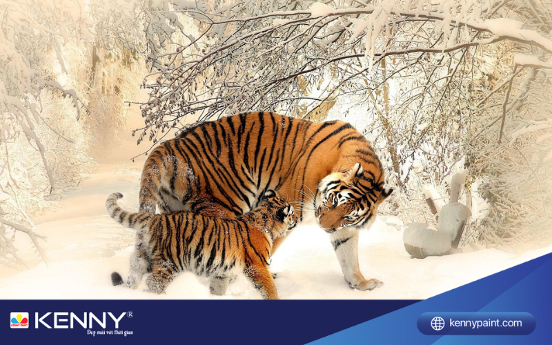 tuoi-dan-son-nha-mau-gi-1